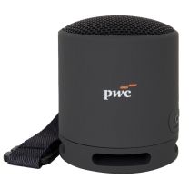 Sony SRS-XB100 Bluetooth Speaker